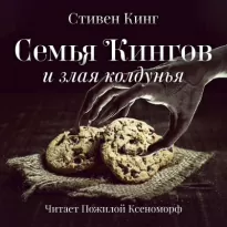 Семья Кингов и злая колдунья - Стивен Кинг